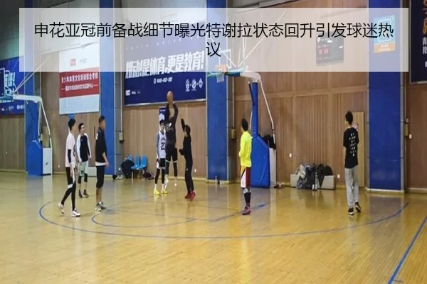 申花亚冠前备战细节曝光特谢拉状态回升引发球迷热议 - BandaoSports